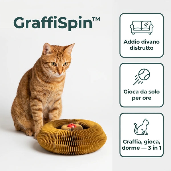 Graffia, Gioca, Dorme — Tutto in Uno